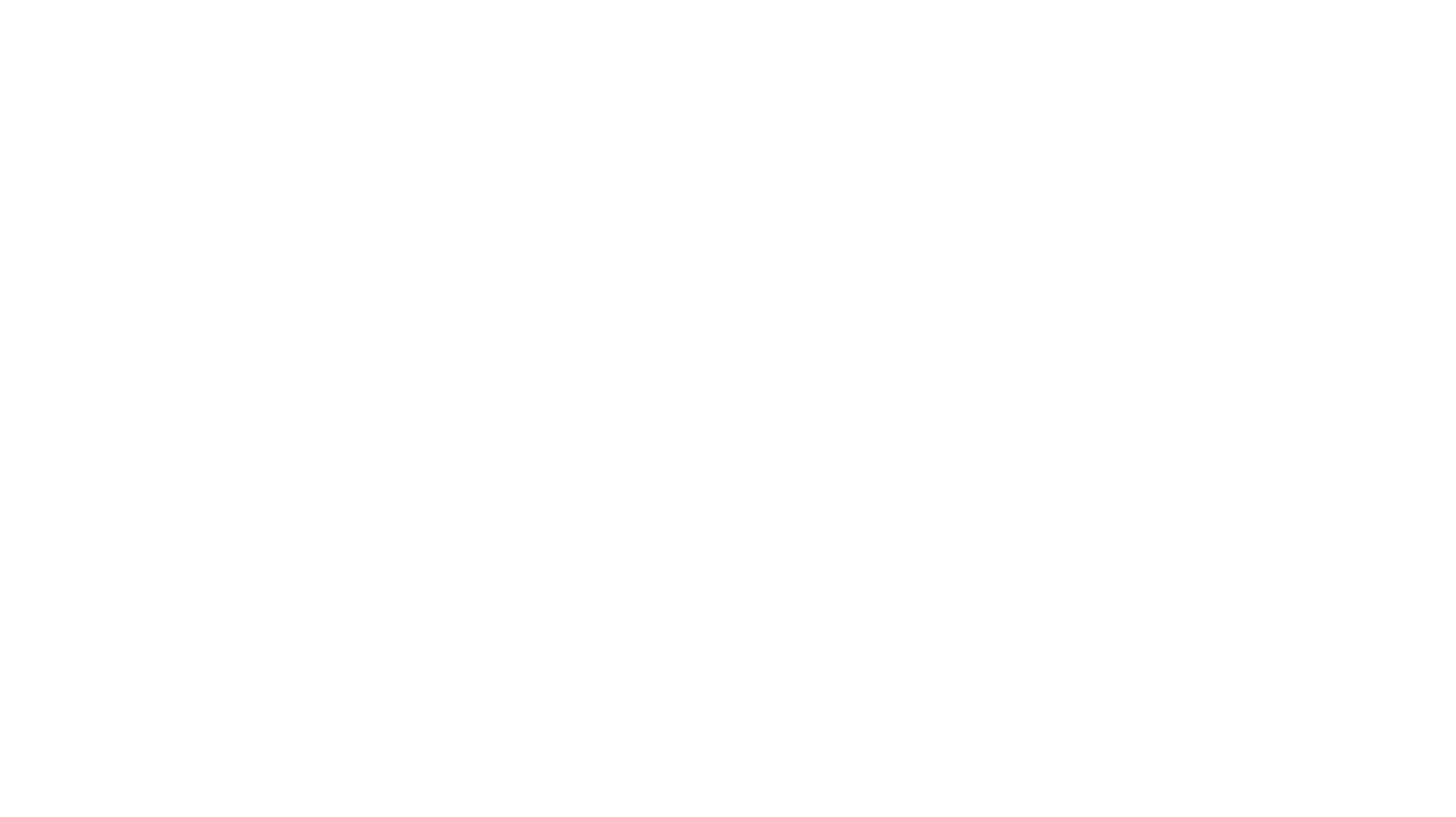 Website animation